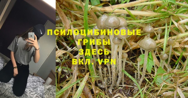гидропоника Гусев